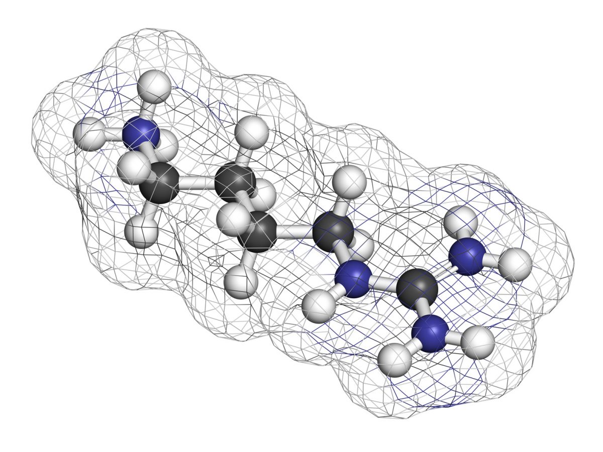 Agmatyna