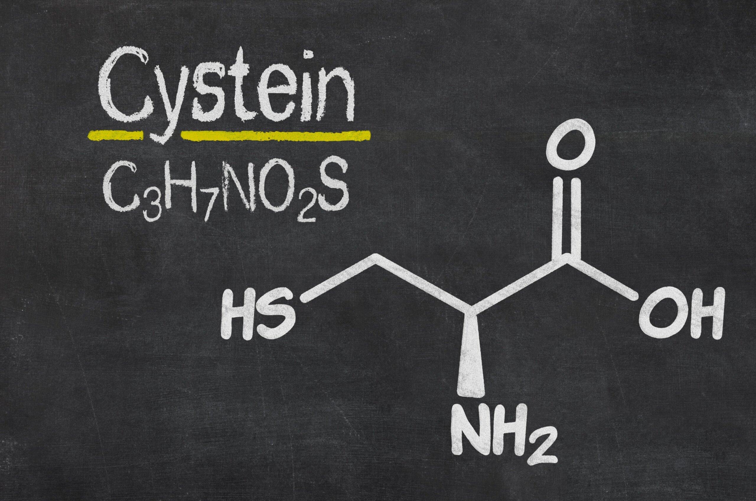 L-cysteina – czym jest, najlepsze źródła, dawkowanie