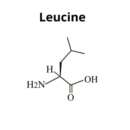 leucyna