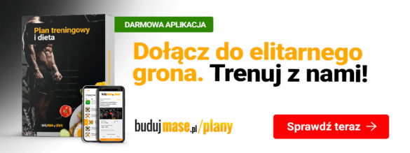 plany treningowe budujmase