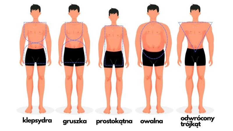 Typy sylwetek męskich na siłowni - jaki jest Twój somatotyp?